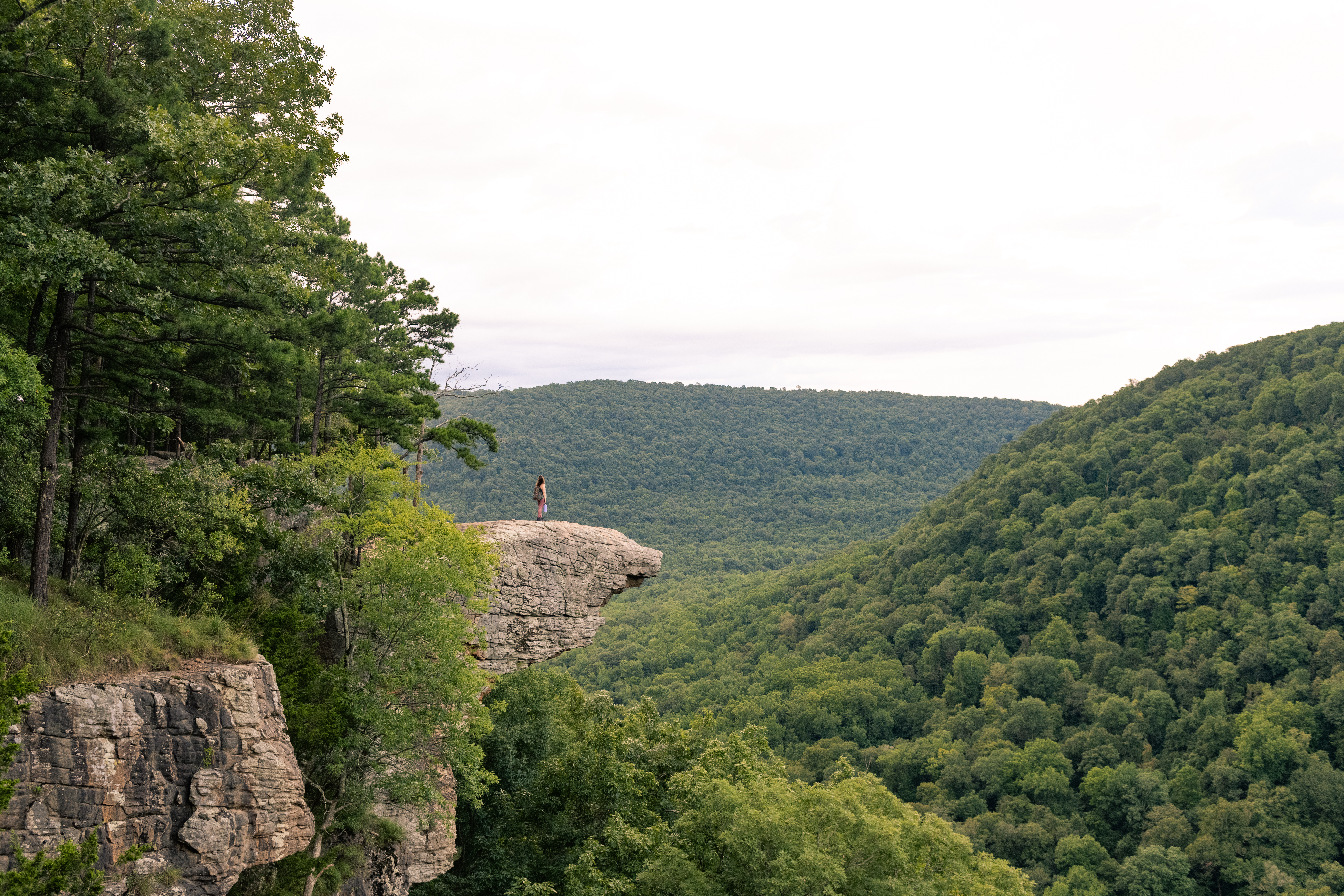 Whitaker Point Hiking Overlook in Ozark National Forest in Arkansas USA